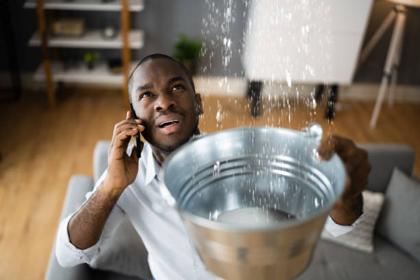 Reliable Tavernier, FL Water damage restoration Solutions