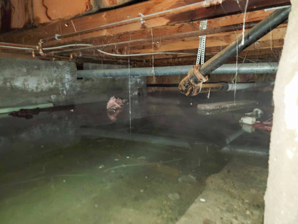 Water damage restoration process in Tavernier, FL