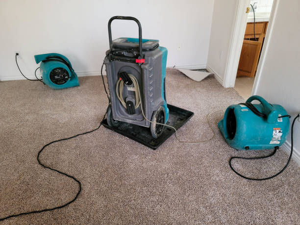 Best Water damage restoration services  in Tavernier, FL