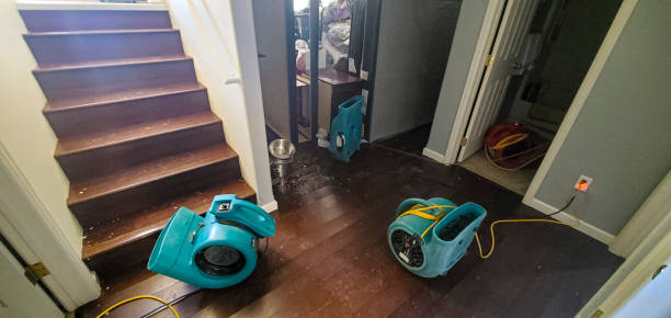 Best Water damage restoration specialists  in Tavernier, FL