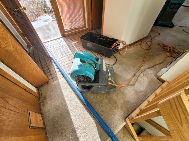 Best Carpet water damage restoration  in Tavernier, FL