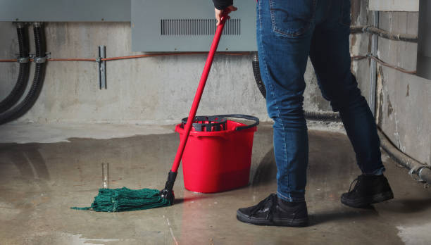 Best Mold removal after water damage  in Tavernier, FL