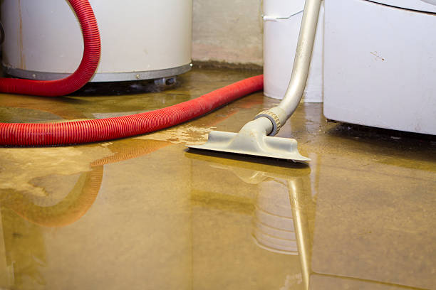 Best Water damage restoration near me  in Tavernier, FL