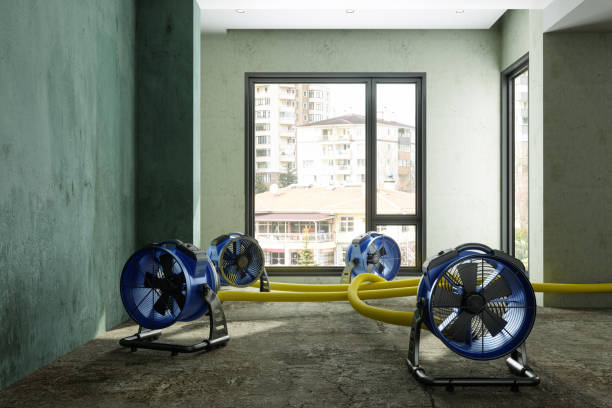 Best Sewage cleanup and water damage restoration  in Tavernier, FL