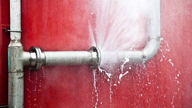 Carpet water damage restoration in Tavernier, FL